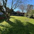 9 Earl Street, Hillsborough, Canterbury 8022 New Zealand