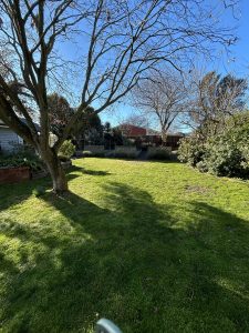 9 Earl Street, Hillsborough, Canterbury 8022 New Zealand