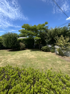 39 Sandwich Road, Beckenham, Canterbury 8023 New Zealand