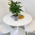 10/27 Waterford Place, Ferrymead, Christchurch 8023 New Zealand