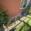 B/33 Esperance Street, St Albans, Canterbury 8012 New Zealand