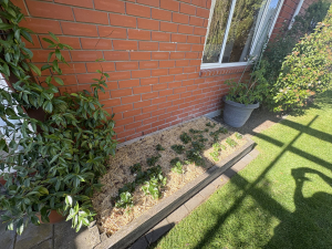 B/33 Esperance Street, St Albans, Canterbury 8012 New Zealand