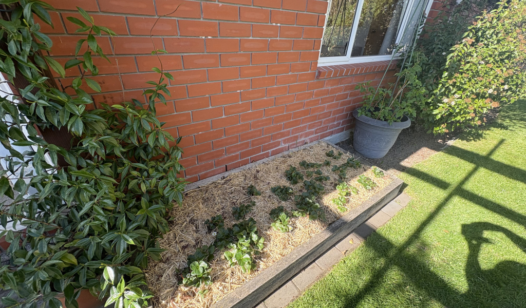 B/33 Esperance Street, St Albans, Canterbury 8012 New Zealand