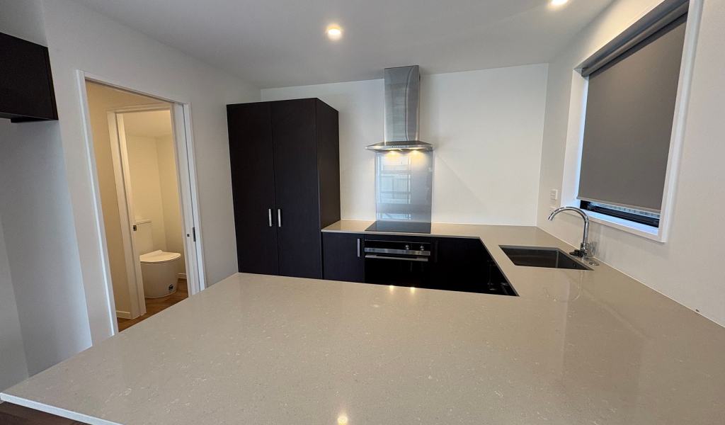 2/163 Bordesley Street, Phillipstown, Christchurch 8011 New Zealand