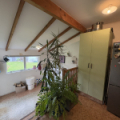 47 Shelley Street, Rolleston, Selwyn 7615 New Zealand